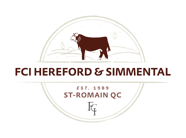 FCI Hereford & Simmental Logo